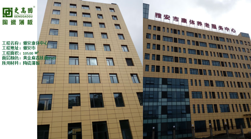 雅安康體中心